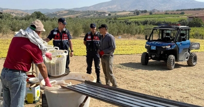 MANİSA JANDARMADAN UTV’Lİ ÜZÜM DEVRİYESİ