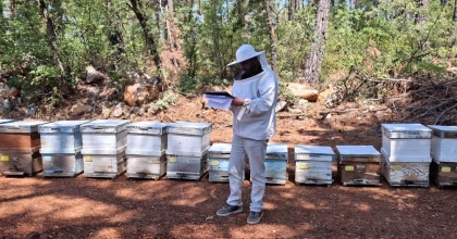 MENTEŞE’DE 2025 ARILI KOVAN DESTEKLEME TESPİTLERİ BAŞLADI