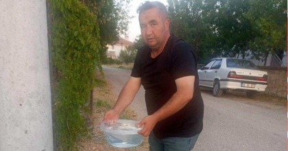 MAHALLE MUHTARINDAN SOKAK HAYVANLARINA YÖNELİK ÖRNEK ÇALIŞMA