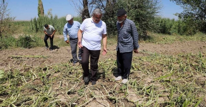 MİLLETVEKİLİ YURDUNUSEVEN ZARAR GÖREN TARIM ARAZİLERİNİ İNCELEDİ
