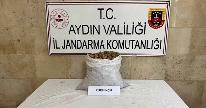 MOTOSİKLETLİ İNCİR HIRSIZI JANDARMADAN KAÇAMADI