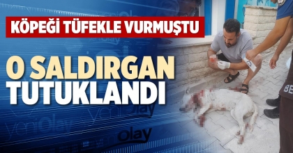 O SALDIRGAN TUTUKLANDI