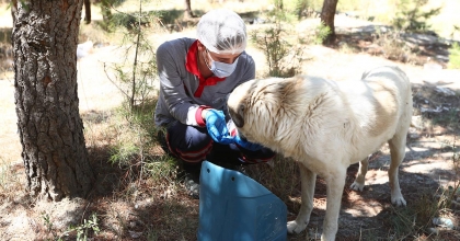 PAMUKKALE BELEDİYESİ’NDEN ÇEVRE VE CANLILAR İÇİN ANLAMLI PROJE