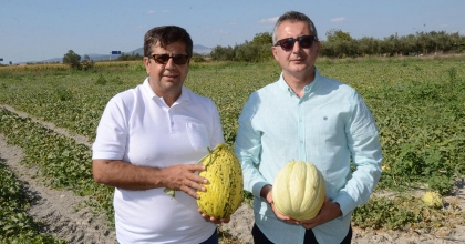 TÜRKİYE, KAVUNA DOYACAK