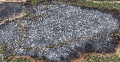 UŞAK'TA ORMANLIK ALANA SIÇRAYAN YANGIN SÖNDÜRÜLDÜ