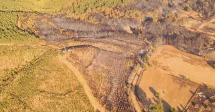 UŞAK'TAKİ ORMAN YANGINI KONTROL ALTINA ALINDI