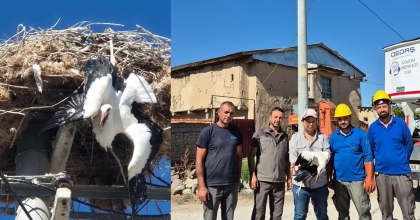 YUVASINA TAKILI KALAN LEYLEK BÖYLE KURTARILDI