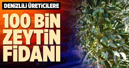 DENİZLİLİ ÜRETİCİLERE 100 BİN ZEYTİN FİDANI