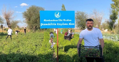 100 YILIK ATA TOHUMUYLA İLK HASAT YAPILDI