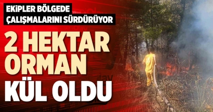 2 HEKTAR ORMAN KÜL OLDU
