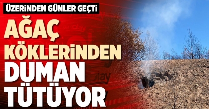 AĞAÇ KÖKLERİNDEN DUMAN TÜTÜYOR