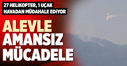 ALEVLE AMANSIZ MÜCADELE