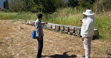 ARICILIK DESTEKLEMELERİ İÇİN KOVAN SAYIMLARI TAMAMLANDI