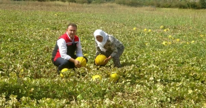 YAYLA KAVUNU KARABAĞLAR'DA YÜZ YILLARDIR YAŞATILIYOR