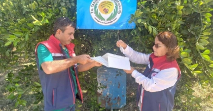 AYDIN’DA AKDENİZ MEYVE SİNEĞİ İLE MÜCADELE BAŞLADI