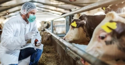 BULDAN’A HAYVAN GİRİŞİ ÇIKIŞI YASAKLANDI