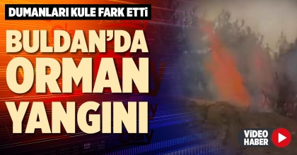 BULDAN’DA ORMAN YANGINI