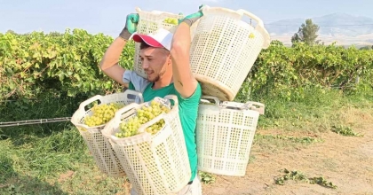 BAĞLARIN HERKÜL’Ü 120 KİLO TAŞIDI