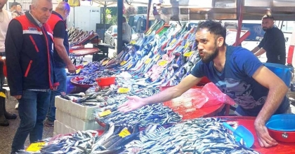 BALIKÇI ESNAFINA YÖNELİK DENETİM