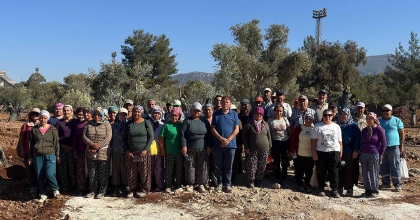 BÖLGE HALKI TAŞINAN ZEYTİNLERİ YERİNDE GÖRDÜ