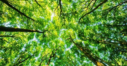 ÇEVRECİLER 7554 SAYILI YASANIN İPTALİNİ İSTİYOR