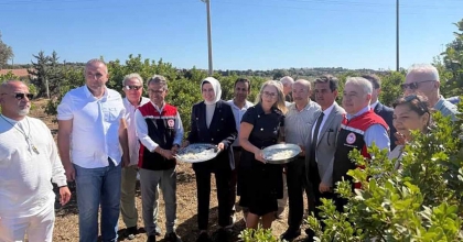 ÇEŞME’DE DAMLA SAKIZI VE ZEYTİN HASADI BAŞLADI