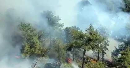 DENİZLİ SINIRINDA ORMAN YANGINI