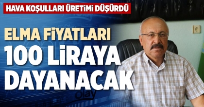 ELMA FİYATLARI 100 LİRAYA DAYANACAK