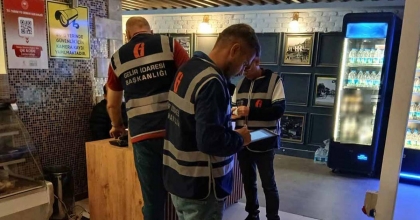 EĞLENCE MEKANLARINA YÖNELİK VERGİ DENETİMİ