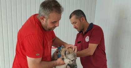 EVCİL HAYVAN SAHİPLERİNE MİKROÇİP UYARISI