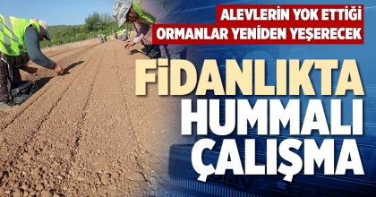 FİDANLIKTA HUMMALI ÇALIŞMA