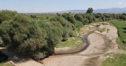 GEDİZ NEHRİ'NDE ALARM