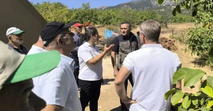 HASAT ÖNCESİ CEVİZ BAHÇELERİNDE İNCELEME YAPILDI