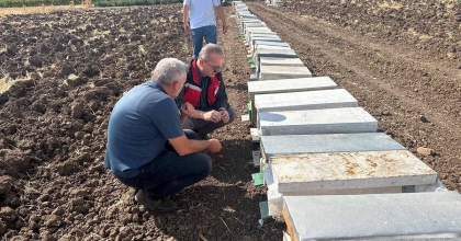 HALİTPAŞA’DA ARI ÖLÜMLERİ İNCELEME ALTINDA