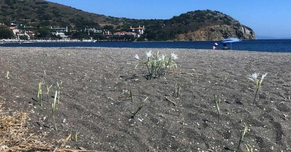 KOPARMANIN CEZASINI DUYANLAR YANINDAN GEÇMİYOR
