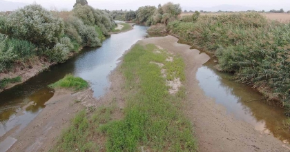 MENDERES NEHRİNDE KURAKLIĞIN ETKİLERİ SÜRÜYOR