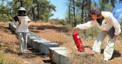 MENTEŞE'DE ARI KOVAN DESTEKLEME TESPİT ÇALIŞMALARI DEVAM EDİYOR