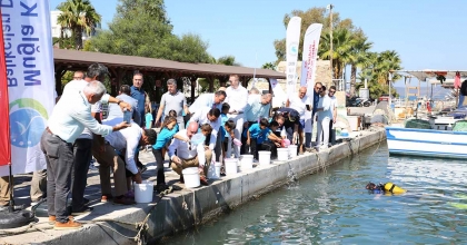 MİLAS BOĞAZİÇİ’NE 150 BİN ÇİPURA VE 10 BİN LEVREK YAVRUSU BIRAKILDI