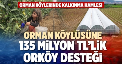 ORMAN KÖYLÜSÜNE 135 MİLYON TL’LİK ORKÖY DESTEĞİ