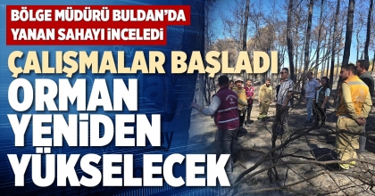 ÇALIŞMALAR BAŞLADI ORMAN YENİDEN YÜKSELECEK