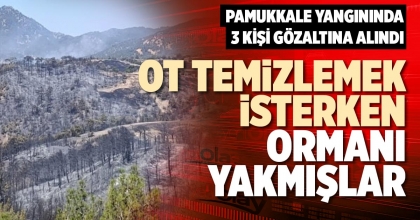 OT TEMİZLEMEK İSTERKEN ORMANI YAKMIŞLAR