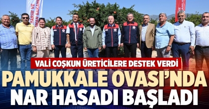PAMUKKALE OVASI’NDA NAR HASADI BAŞLADI