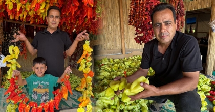 SAĞINÇ KALE BİBERİNİ TANITMAK İÇİN KOLLARI SIVADI