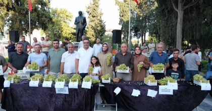 SARIGÖL'DE SULTANİ ÜZÜM YARIŞMASI