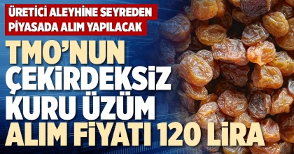 TMO’NUN ÇEKİRDEKSİZ KURU ÜZÜM ALIM FİYATI 120 LİRA