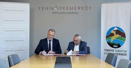 TAŞINAN ZEYTİN AĞAÇLARINI TTKD İZLEYECEK