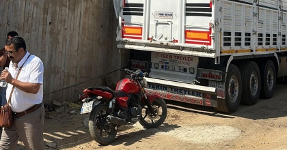 ÜZÜM YÜKLEMEYE GELDİ, DİREKSİYON BAŞINDA YAŞAMINI YİTİRDİ 