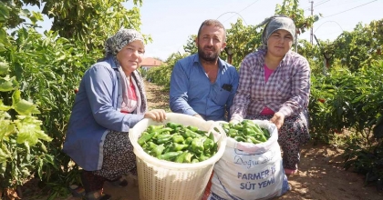 ÜNLÜ EMCELLİ BİBERİ YOK OLUYOR
