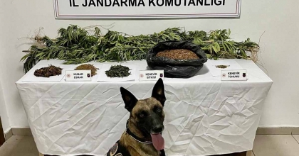 UYUŞTURUCU OPERASYONUNDA 1 KİŞİ TUTUKLANDI