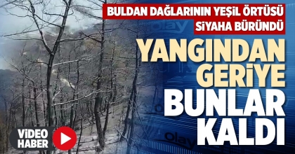 YANGINDAN GERİYE BUNLAR KALDI